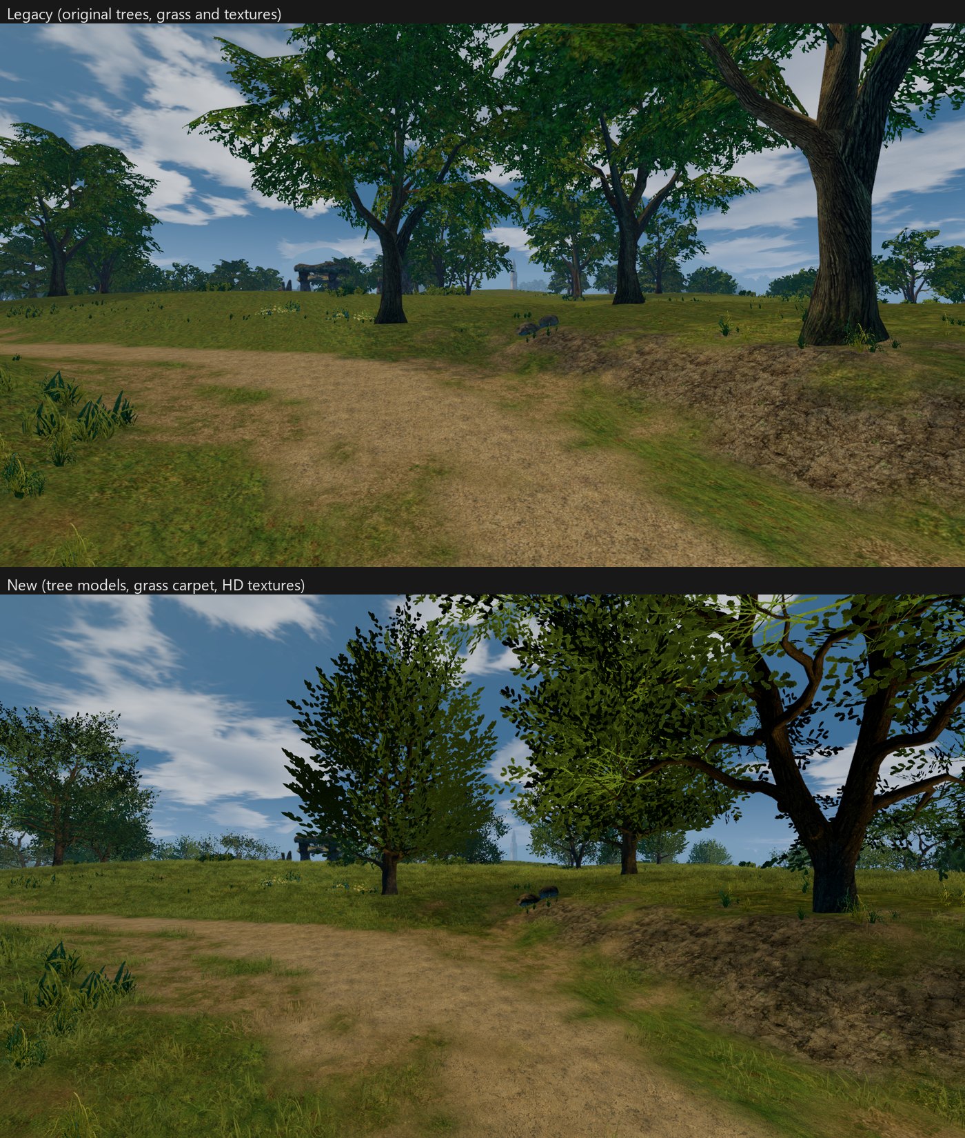 Path near Talking Island village, Legacy and New
