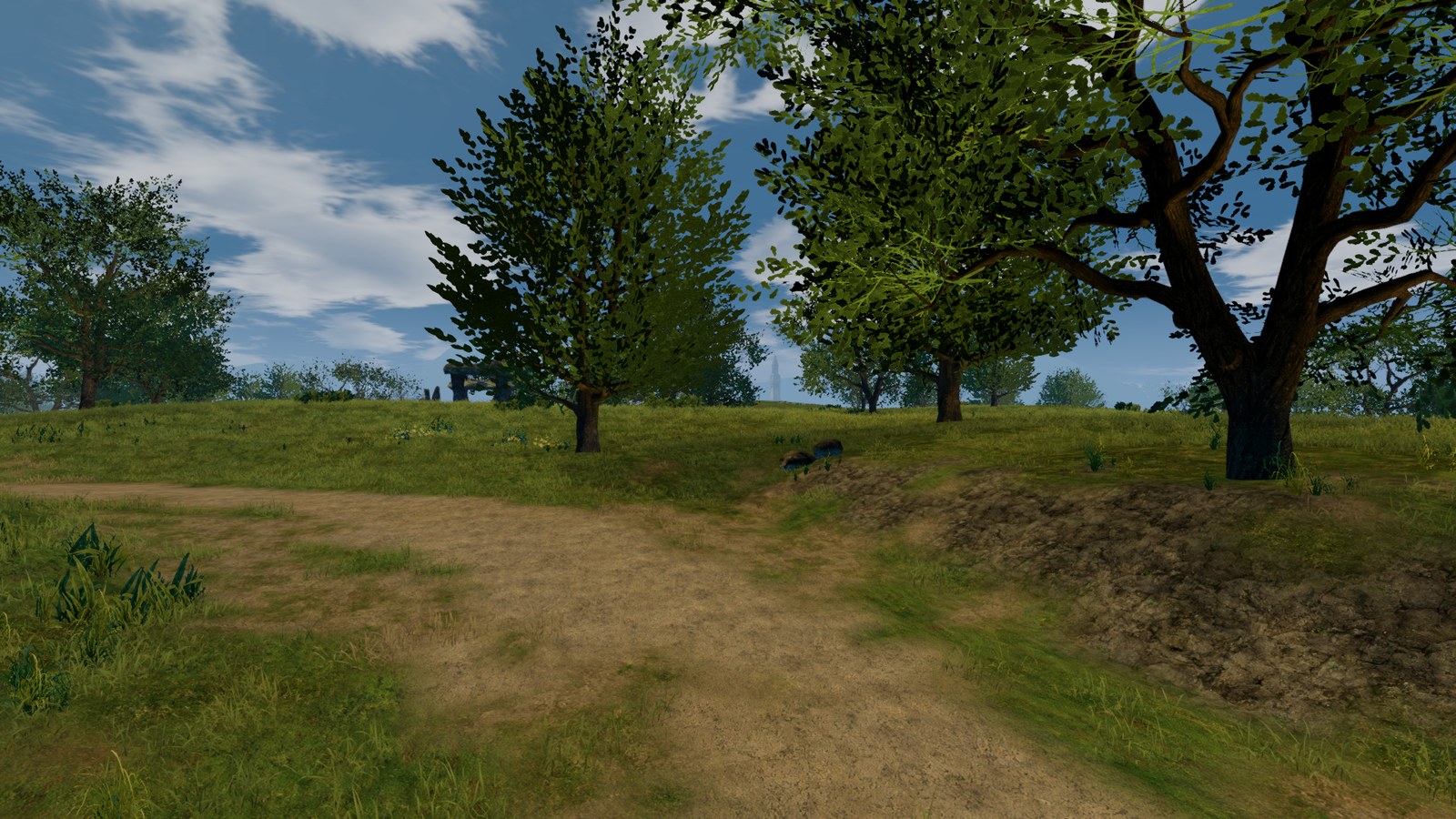 A path next to Talking Island village with the New trees and grass