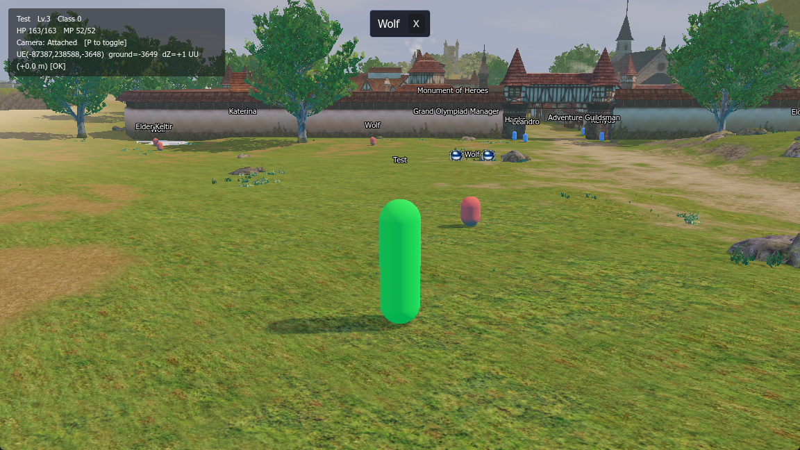 Named NPCs and my character standing on the ground, all placed by the server