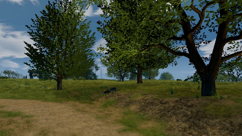 New trees and real grass