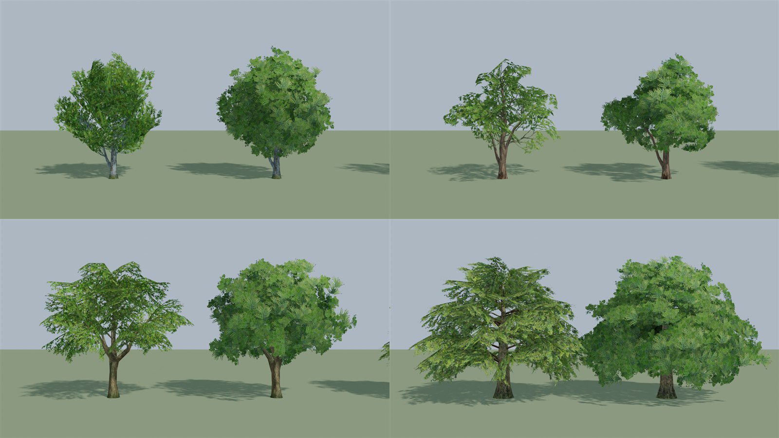 Original tree (left of each pair) and the rebuilt crown (right)